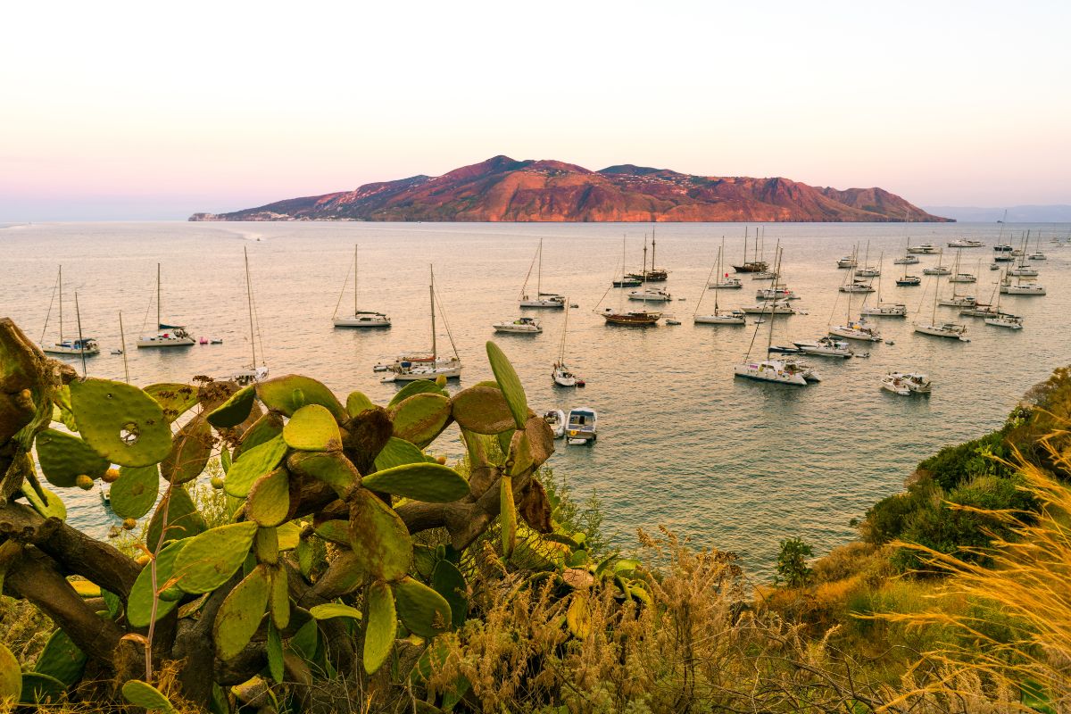 Salina — I nostri servizi